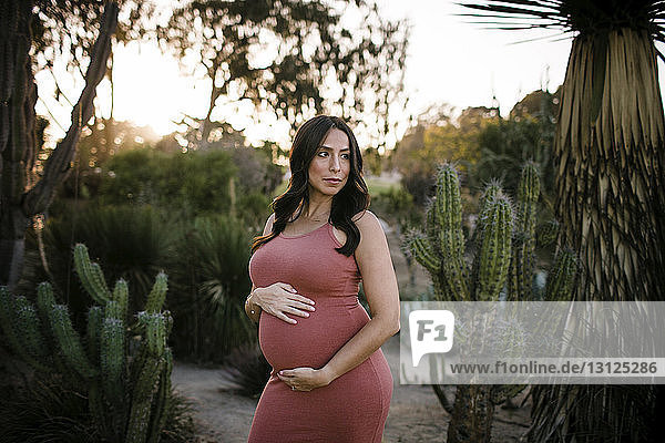 Pregnant woman with hands on stomach looking away while standing in park during sunset