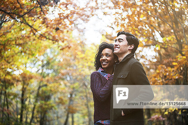 Couple looking away while standing in forest