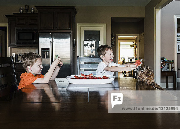 Junge sieht glücklichen Bruder an  der zu Hause Wassermelone an Hund verfüttert