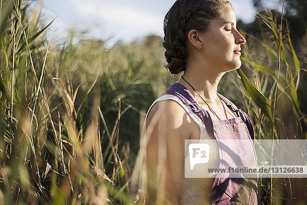 Entspannte Frau genießt Sonnenlicht  während sie im Maisfeld steht
