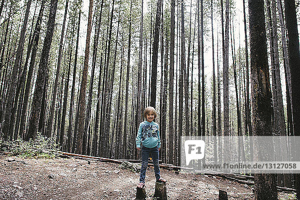 Porträt eines auf Baumstümpfen stehenden Mädchens im Wald