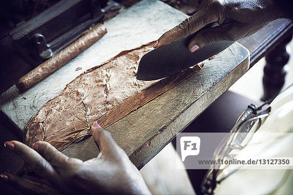 Ausgeschnittenes Bild einer Frau  die während der Zigarrenherstellung in der Fabrik Blätter schneidet