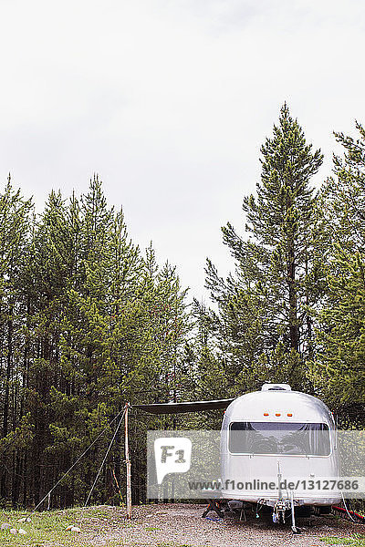 Wohnmobil bei Bäumen vor klarem Himmel im Grand-Teton-Nationalpark