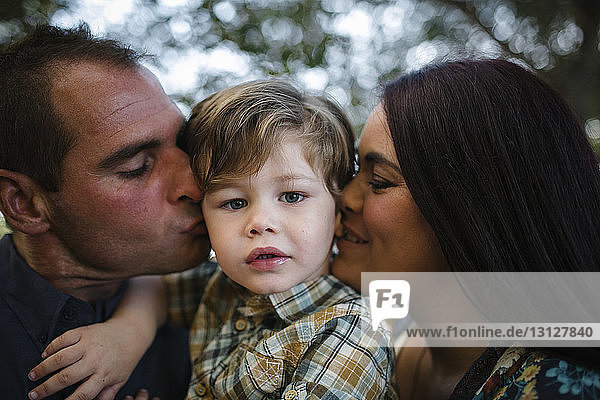 Porträt eines süßen Sohnes mit sich auf dem Feld küssenden Eltern