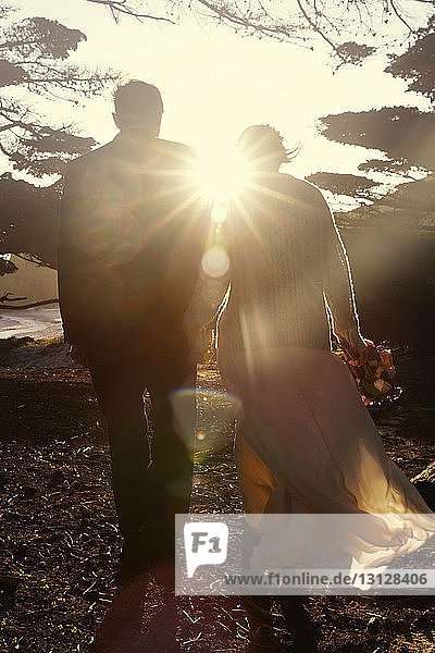 Rückansicht des frisch vermählten Paares beim Spaziergang auf dem Feld an einem sonnigen Tag