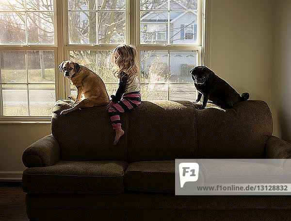 Side view of girl with dogs sitting on sofa at home