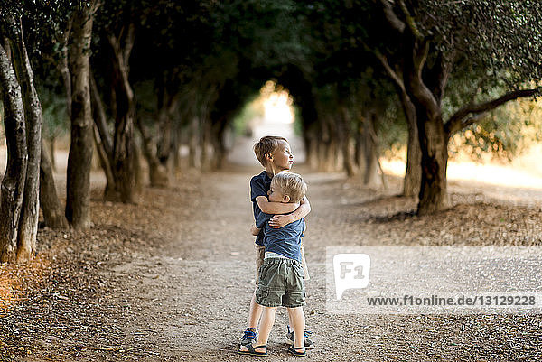 Geschwister,  die sich umarmen,  während sie auf dem Gehweg inmitten von Bäumen stehen