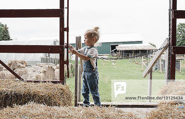 Mädchen entfernt Kette vom Tor gegen klaren Himmel auf dem Bauernhof