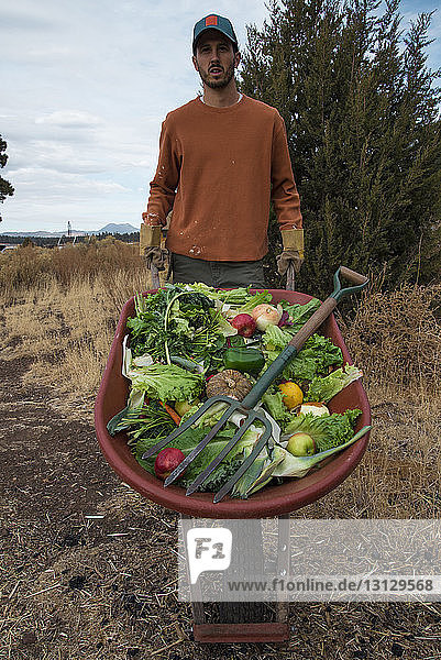 Porträt eines Mannes beim Tragen von Obst und Gemüse in einer Schubkarre