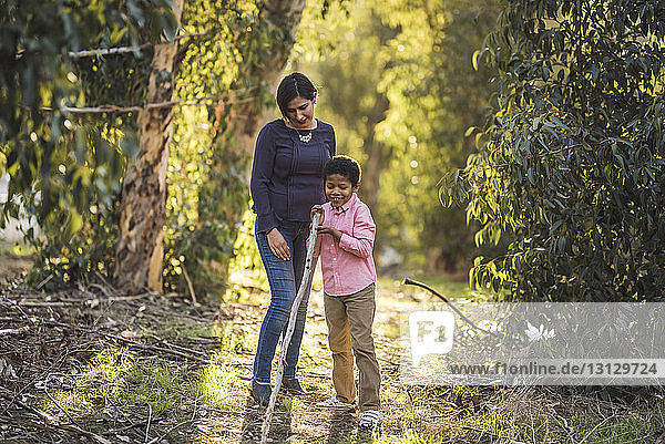 Mother looking at son playing with stick in forest