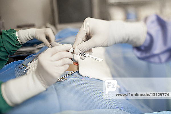 Krankenschwester gibt dem Zahnarzt während der Operation im Operationssaal zahnärztliche Ausrüstung