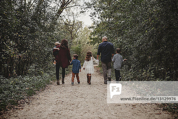 Rückansicht einer Familie  die die Hände hält  während sie auf einem Feldweg mitten im Wald geht