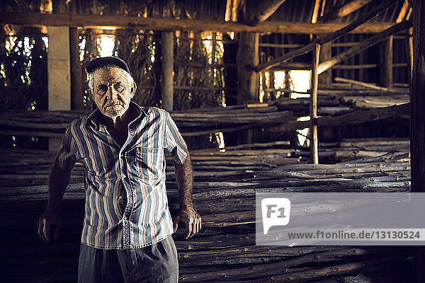 Porträt eines Mannes  der in einer Fabrik an Brennholz steht