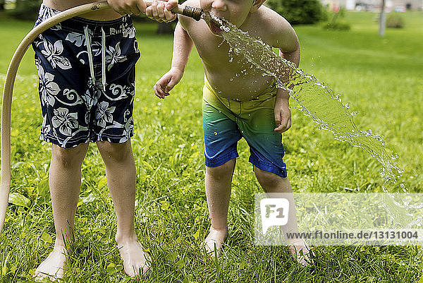 Niedriger Abschnitt eines Jungen  der dem Bruder beim Trinken von Wasser aus einem Schlauch im Hinterhof hilft
