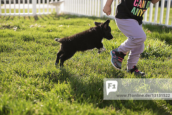 Low section of girl with puppy running on grassy field at park