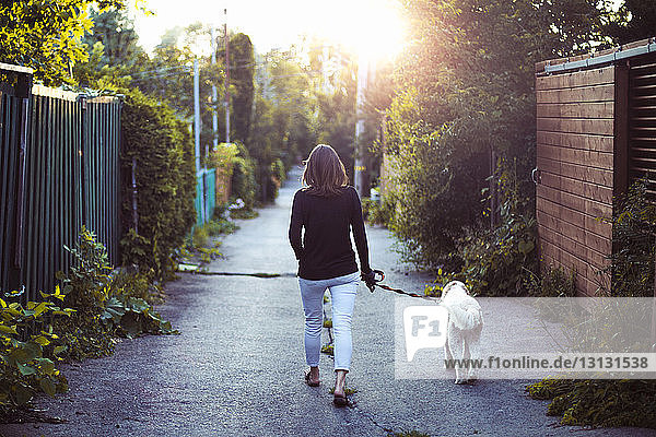 Rückansicht einer Frau mit Hund beim Spaziergang auf einem Fußweg