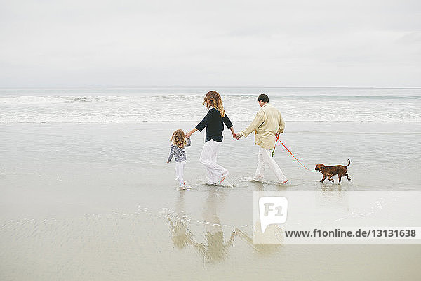 Familie hält beim Spaziergang mit Hund am Ufer gegen den Himmel am Strand Händchen