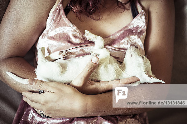 Midsection of woman holding puppy while lying on bed at home
