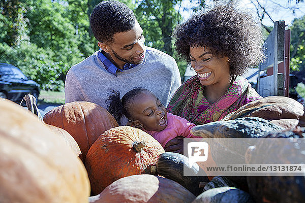 Cheerful family standing by pumpkins at organic farm on sunny day