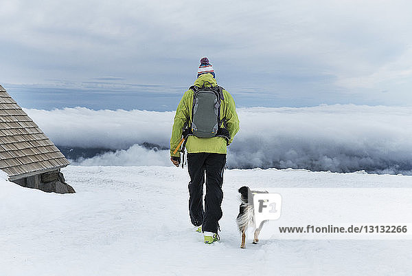 Rückansicht eines Mannes  der mit einem Hund auf einem schneebedeckten Feld spazieren geht