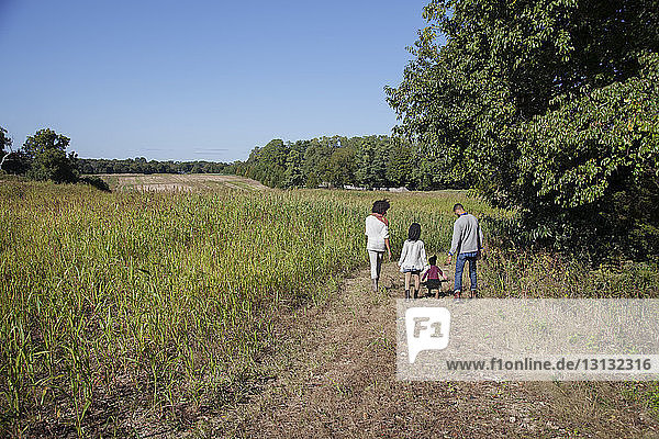 Rückansicht einer Familie  die an einem sonnigen Tag auf einem Grasfeld spazieren geht