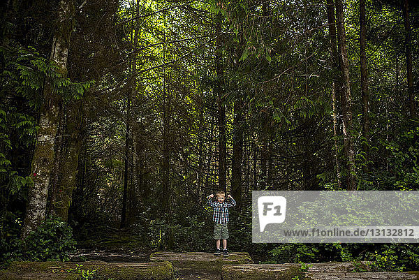 Porträt eines Jungen  der im Wald auf einem Baumstamm steht und dabei Muskeln beugt