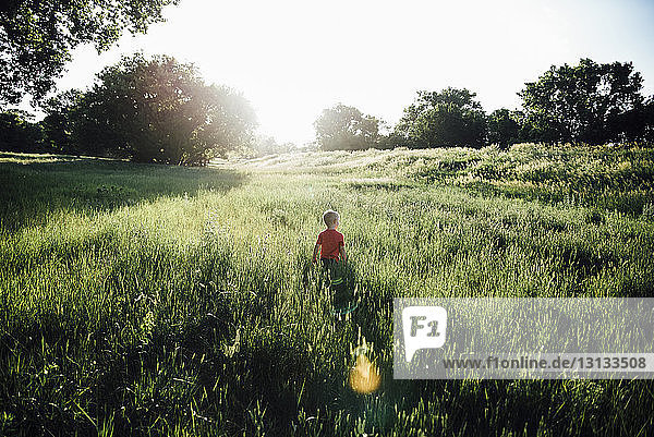 Rear view of boy walking on grassy field against clear sky