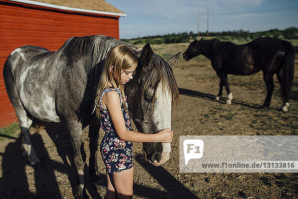 Seitenansicht eines am Stall stehenden Mädchens  das sein Pferd streichelt