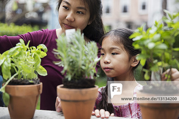 Siblings gardening with potted plants in yard