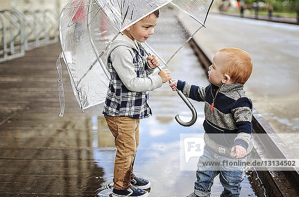 Baby boy with brother holding umbrella while standing on wet street