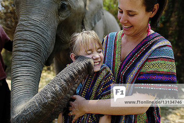 Elephant touching girl with trunk standing by mother