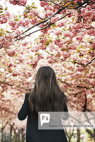 Rear view of woman standing in park during springtime