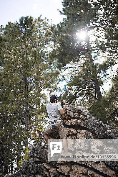 Rear view of hiker climbing rock formation against trees at forest