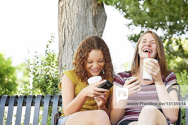 Cheerful friends holding disposable cups and mobile phone while sitting at park