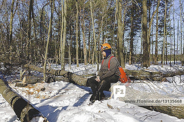 Holzfäller  der im Winter im Wald auf Stämmen sitzt