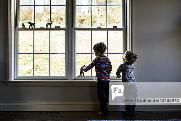 Brüder in voller Länge  die mit Spielzeug spielen  während sie am Fenster stehen