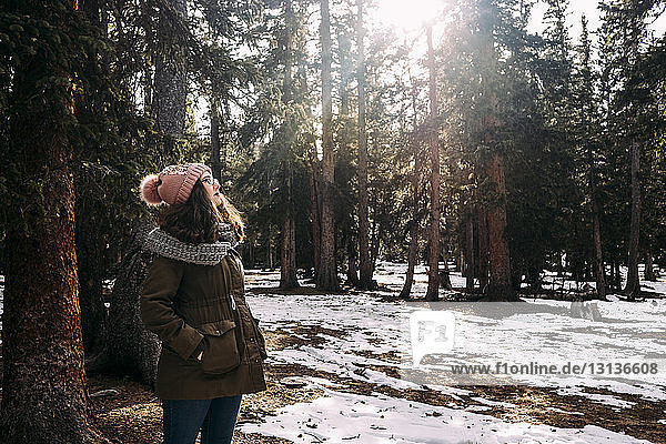 Frau trägt warme Kleidung  während sie im Winter im Wald steht