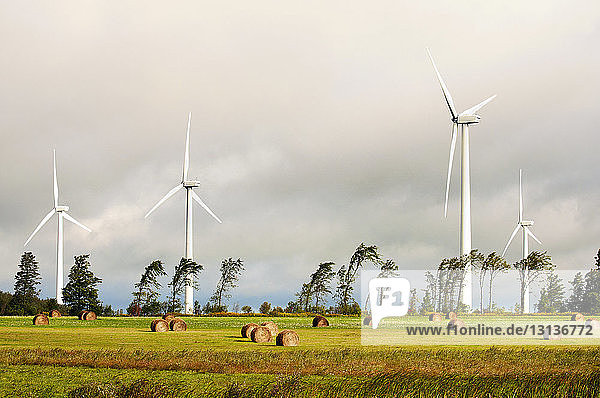 Windmühle auf dem Feld gegen bewölkten Himmel