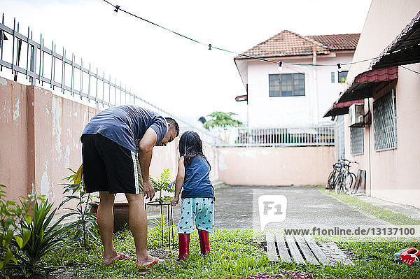 Father with Son examining plants in backyard