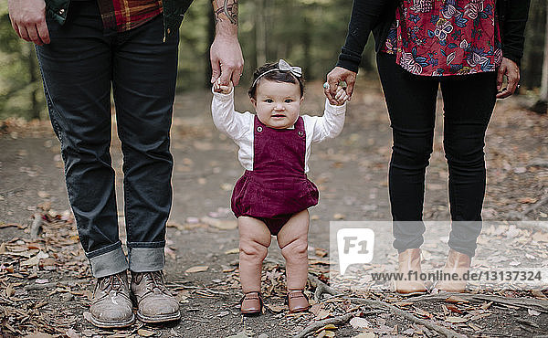 Porträt eines kleinen Mädchens  das die Eltern an den Händen hält  während es auf einem Feld im Wald steht