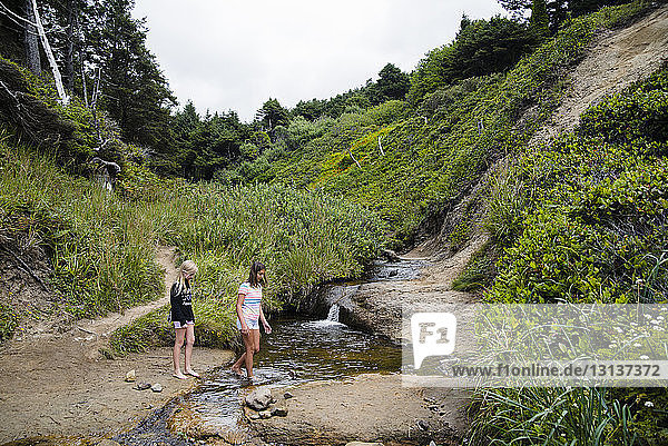 Full length of girls walking by stream in forest