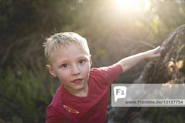 Bildnis eines im Wald stehenden Jungen