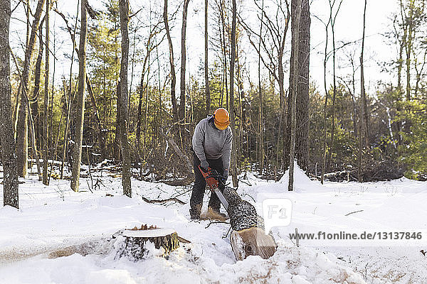 Holzfäller schlägt Baumstamm auf schneebedecktem Feld im Wald
