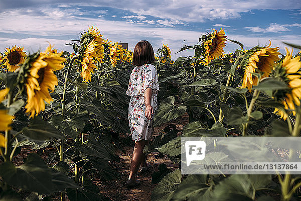 Rückansicht eines Mädchens auf einer Sonnenblumenfarm