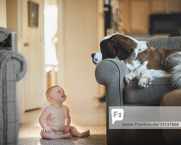 Kleiner Junge ohne Hemd schaut Hund an  der zu Hause auf dem Sofa liegt