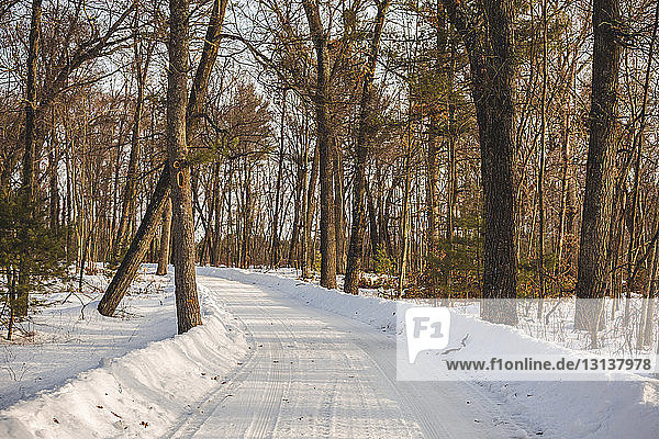 Schneebedeckte Straße inmitten von Bäumen im Wald