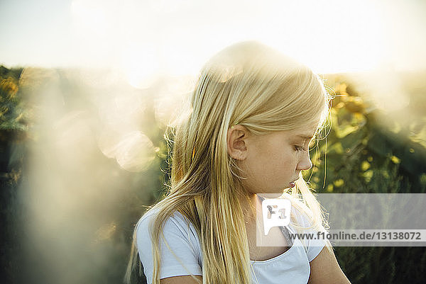 Close-up of girl standing at sunflower field
