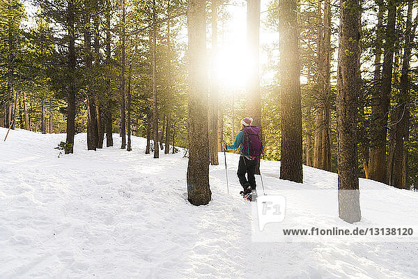Frau mit Skistöcken geht im verschneiten Wald