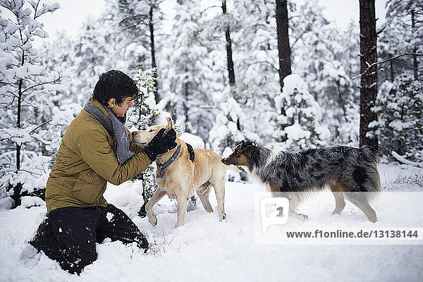 Teenager playing with dogs against trees on snow covered field