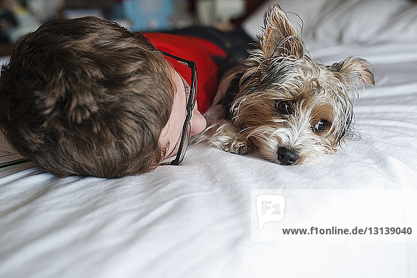 Close-up of boy lying on bed with Yorkshire Terrier